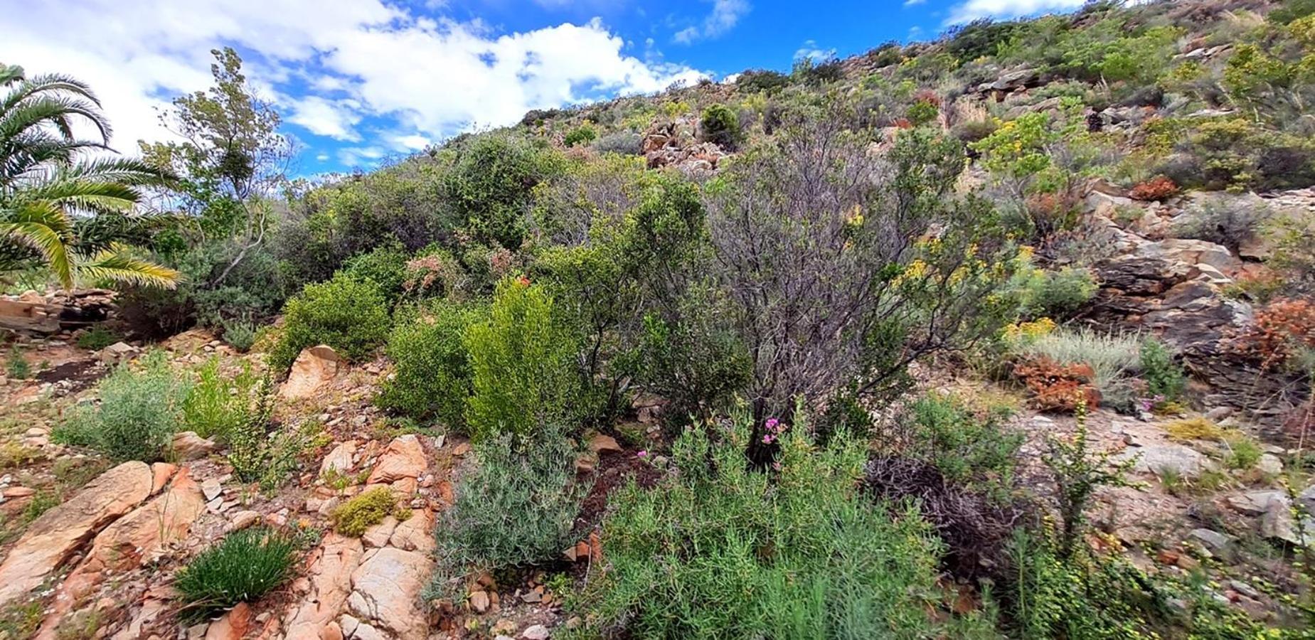 Appartamento Montagu Little Sanctuary - Hot Spring Access At Reduced Price Camera foto