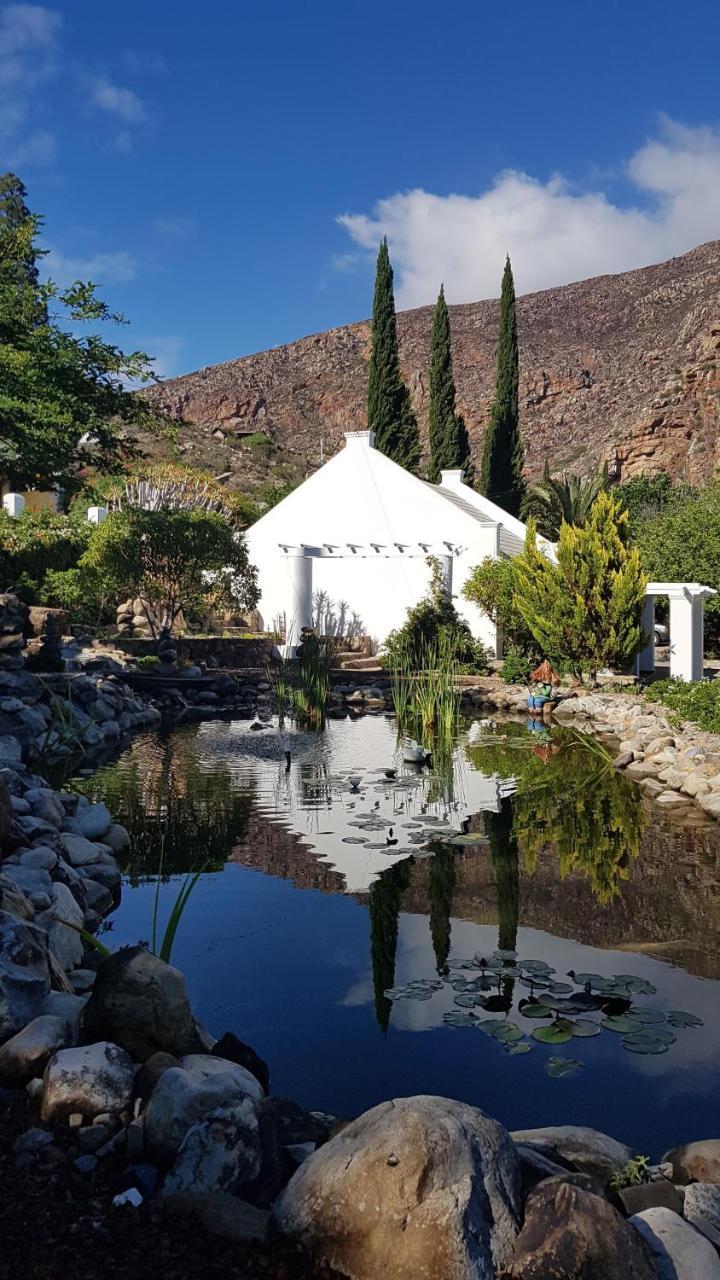Appartamento Montagu Little Sanctuary - Hot Spring Access At Reduced Price Esterno foto