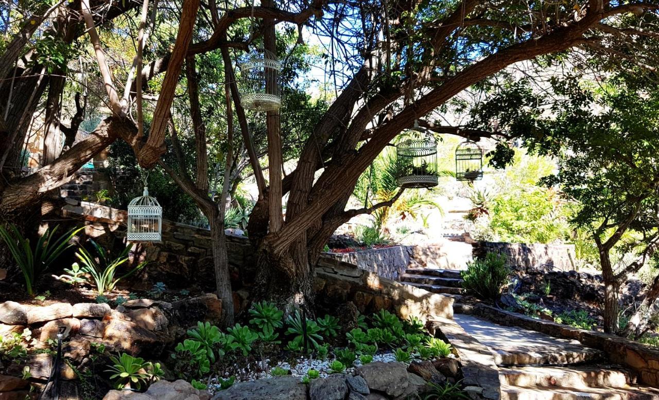 Appartamento Montagu Little Sanctuary - Hot Spring Access At Reduced Price Esterno foto