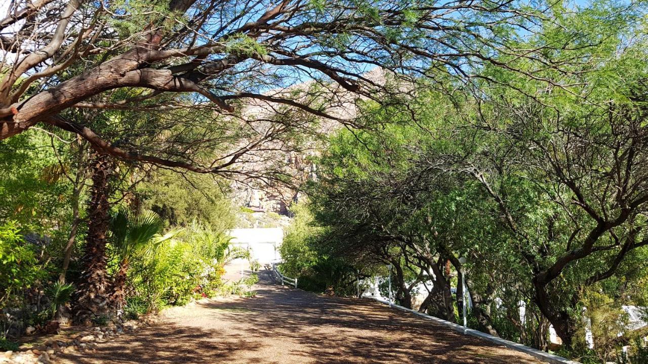 Appartamento Montagu Little Sanctuary - Hot Spring Access At Reduced Price Esterno foto