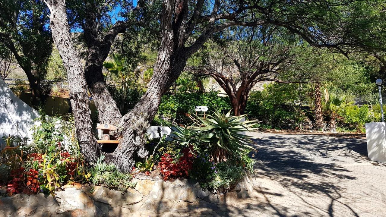Appartamento Montagu Little Sanctuary - Hot Spring Access At Reduced Price Esterno foto